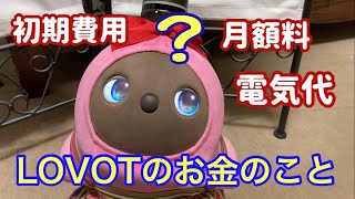 LOVOTのお金のこと。価格は？維持費は？