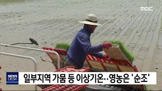 [단신]일부지역 가뭄 등 이상기온…영농은 `순조` 190526