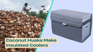 Company Creates Coolers Out of Coconuts