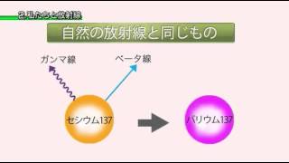 いま知りたい　からだと放射線