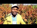 Father Max and Chekerera Band Chamukamina (official video) Notown Tv Chitima cheFane