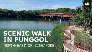 Punggol Point Park to Lorong Halus Wetland - Walk Around Singapore