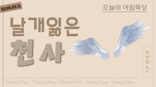 220523(월) 멀티꿈의교회-오늘의 아침묵상-박한성 목사(날개 잃은 천사)