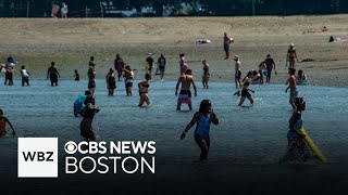 Several Boston beaches earn top scores in water quality report