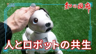 知の回廊 第147回「人とロボットの共生」