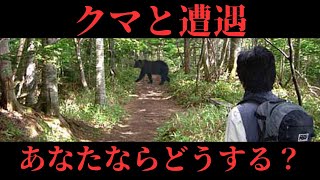 熊と遭遇。あなたならどうする？