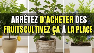 15 meilleurs arbres fruitiers qui POUSSENT en POTS et dans les petits espaces