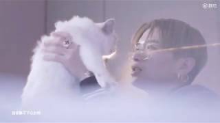 【中国独立音乐】满舒克《做我的猫》，弥漫暧昧气息；Chinese Indie Music，Young Jack-“Be My Cat”