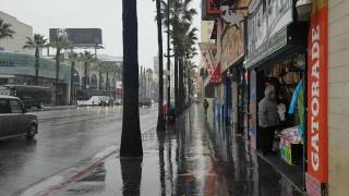 Rainy day in Hollywood