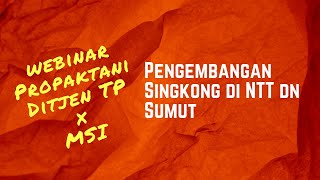 Pengembangan Singkong di NTT dn Sumut