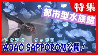 ペンギンがお出迎え　ビールも飲める！札幌に誕生　都市型水族館の魅力を徹底解剖