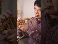 「花は咲く」 trumpet フリューゲルホルン flugelhorn 茨木智博