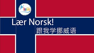 【跟我学挪威语 Lær Norsk!】（双语跟读）第18单元：在百货商店/I butikken; 商店/Butikker; 购物/Handle【HQ】#norwegian #挪威 #挪威语 #教育