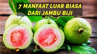 Inilah 7 Manfaat Jambu Biji Merah bagi kesehatan