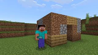 'Minecraft in a Nutshell' in the game itself