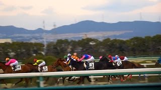 武幸四郎、最後は９着。レース後、場内から拍手。阪神競馬場、現地映像