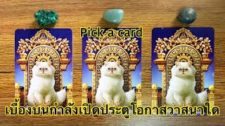 เบื้องบนกำลังเปิดประตูแห่งโอกาส วาสนาที่ดีงามสิ่งใดรอคุณอยู่ข้างหน้า