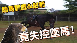 【週一去哪飛EP.2】｜Hawk training｜嘉義仁義潭跟飛！騎馬馴鷹\u0026騎馬射箭的文化起源！