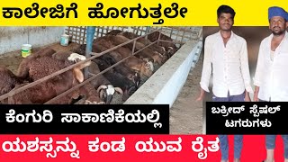 ಕೆಂಗುರಿ ಸಾಕಾಣಿಕೆ ಮಾಹಿತಿ | BAKRID SPECIAL KENGURI SHEEP FARMING | SHEEP FARMING |