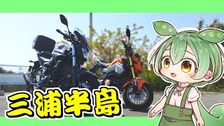 【三浦半島】ずんだもんと行く トコトコ三浦半島ツーリング【GROM＆MT25】