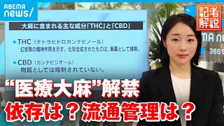 【医療用大麻】なぜ解禁？医療はどう変わる “使用罪“創設 CBDの規制も解説｜厚労省担当 藤原妃奈子記者