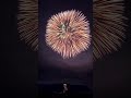 長岡花火。「正三尺玉コレクション」新潟県長岡市 shorts 花火大会 fireworks