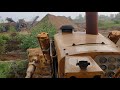 Cat d9g pushes a small tree over.