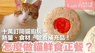 貓鮮食的正餐怎麼做 ?? 營養補充品大公開【好味貓廚房特別篇】
