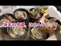 11 30【多肉植物】黄色くなる多肉‼️高温障害か⁉️【ベランダ多肉】【ガーデニング】