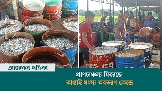 প্রাণচাঞ্চল্য ফিরেছে কাপ্তাই মৎস্য অবতরণ কেন্দ্রে | Fishing | Kaptai Lake | News | Ajker Patrika