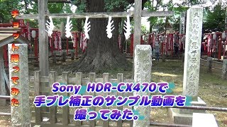 ビデオカメラレビュー　ソニーハンディカム HDR-CX470の手ブレ補正比較動画を撮ってみた　～チョット撮ってみた～