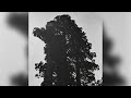 Chance Peña - Muscle Memory (Official Audio)