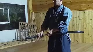 Iaido/Iaijutsu drill