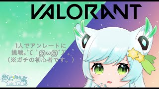 『VALORANT！』一人でアンレート頑張る(´；ω；`)、誰かヘルプミー！『vtuber/Live/神代神楽』