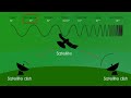 physics waves the electromagnetic spectrum