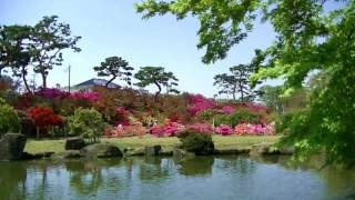 館林　つつじが岡公園　Tatebayashi Azalea Festival