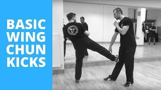 Wing Chun Techniques - The Kicks You NEED To Know