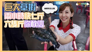 【釣蝦小益思】草蝦6隻1斤你敢信?  女生一小時也能釣3斤多  #釣蝦 #i呀我的蛋 #新聞 #主播 Shrimpfishing  エビ釣り  새우 낚시