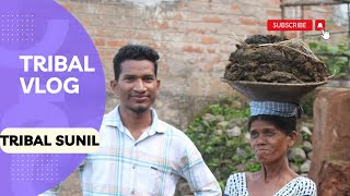 Tribal Vlog || Tribal Lifestyle Vlog || Lanjia Soura #tribal #dailyvlog