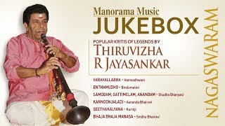 Nagaswaram | Thiruvizha Jayasankar | Haripad V Murugadas