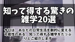 【保存版】生活を劇的に改善！知って得する驚きの雑学20選