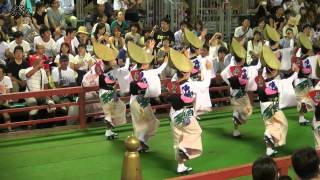 阿波おどり2015　無双連　南内町演舞場　初日第2部－10 / Awa Dance Festival