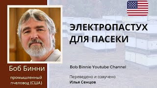 Как Боб Бинни защищает пасеки от медведей? - Электропастух для пасеки (США)