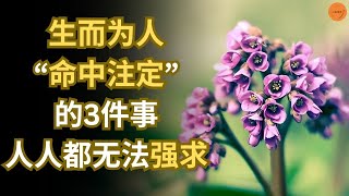 生而为人，“命中注定”的3件事，人人都无法强求 | 心智维度