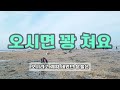 4k 비상사태 지금 석문 방조제 바지락이 다 죽었다. 해루질