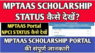 MPTAAS Portal पर Scholarship कैसे चैक करे ? | अब अपनी स्कॉलरशिप खुद कैसे देखें ? | NPCI Status देखें