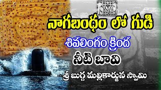 నాగబంధం ఉన్న గుడి #శివుని ప్రక్కనే గంగమ్మ /బుగ్గ మల్లికార్జున స్వామి దేవాలయం@ మోర్జంపాడు,పిడుగురాళ్ల