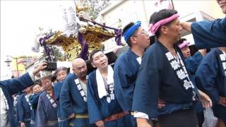 平成28年度 葛飾 亀有香取神社 例大祭 【 五西會 駅前渡御 】