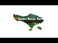 Hendra Bonsai Bali || belajar bonsai dari awal bikin video sampai sekarang