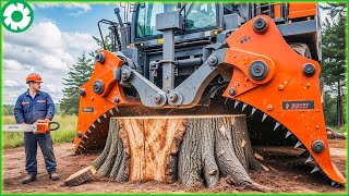 Extreme Dangerous Monster Stump Removal Excavator | Biggest Heavy Machinery Machines